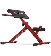 Stamina X Hyperextension Bench - Adjustable and Foldable Roman Chair with Smart Workout App for H...