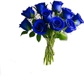 Blue Rose