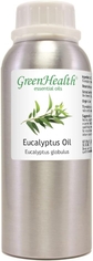 Eucalyptus