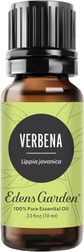 Verbena