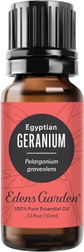 Geranium Egyption