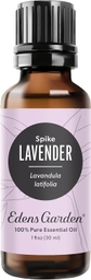 Lavender Spike