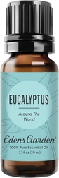 Eucalyptus Around The World