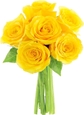 Yellow Rose