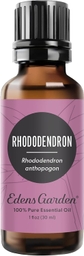 Rhododendron