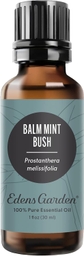 Balm Mint Bush