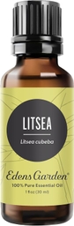 Litsea