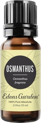 Osmanthus