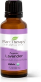 Organic Lavender