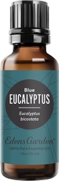 Eucalyptus Blue