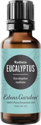 Eucalyptus Radiata