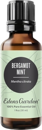 Bergamot Mint