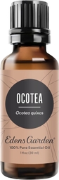 Ocotea