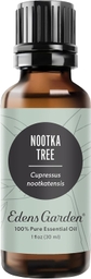 Nootka Tree