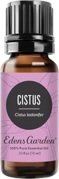 Cistus