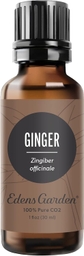 Ginger CO2