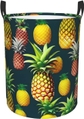 Tropical Fruits Pineapple