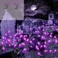 10LED-Purple-Spiders